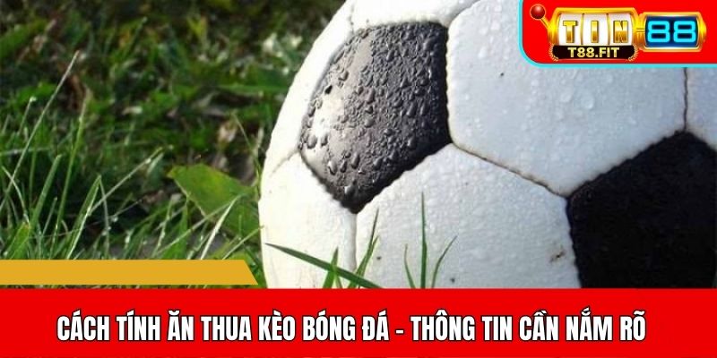 Cách tính ăn thua kèo bóng đá - Thông tin cần nắm rõ 