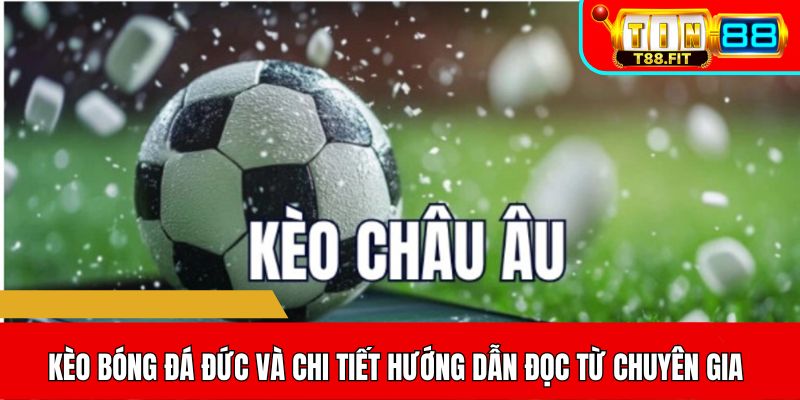 Kèo bóng đá Đức và chi tiết hướng dẫn đọc từ chuyên gia