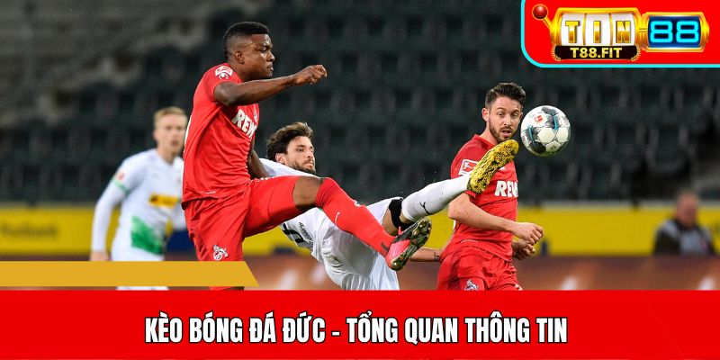 Giới thiệu kèo bóng đá Đức