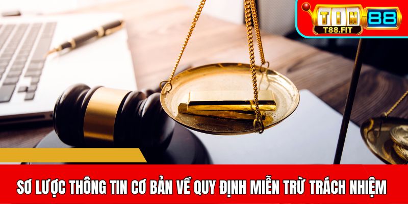 Sơ lược thông tin cơ bản về quy định miễn trừ trách nhiệm