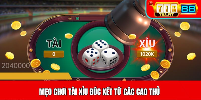 Mẹo chơi tài xỉu đúc kết từ các cao thủ