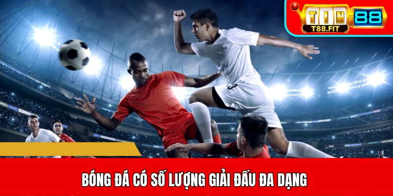 Bóng đá có số lượng giải đấu đa dạng