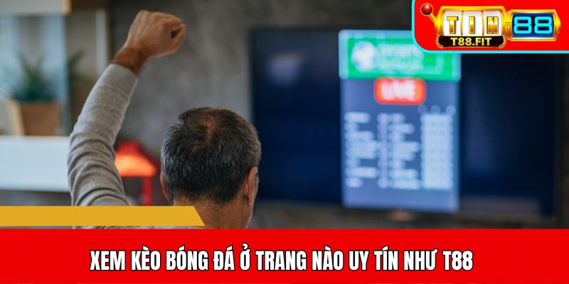Xem kèo bóng đá ở trang nào uy tín như T88
