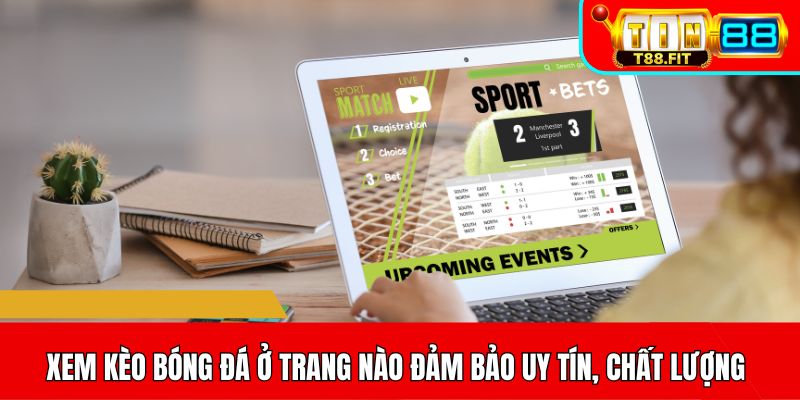 Xem kèo bóng đá ở trang nào